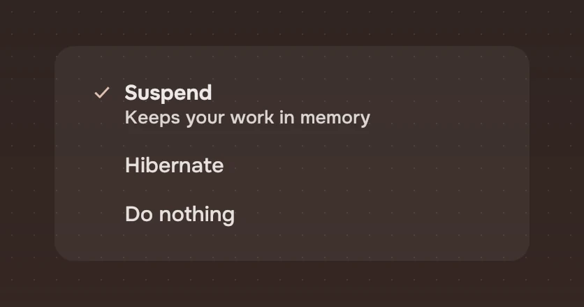 A set of three choices with short names, the first with a detail line: Suspend, Hibernate, Do nothing.