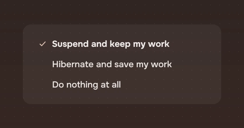 A set of three choices whose names are phrases: Suspend and keep my work, Hibernate and save my work, Do nothing at all.