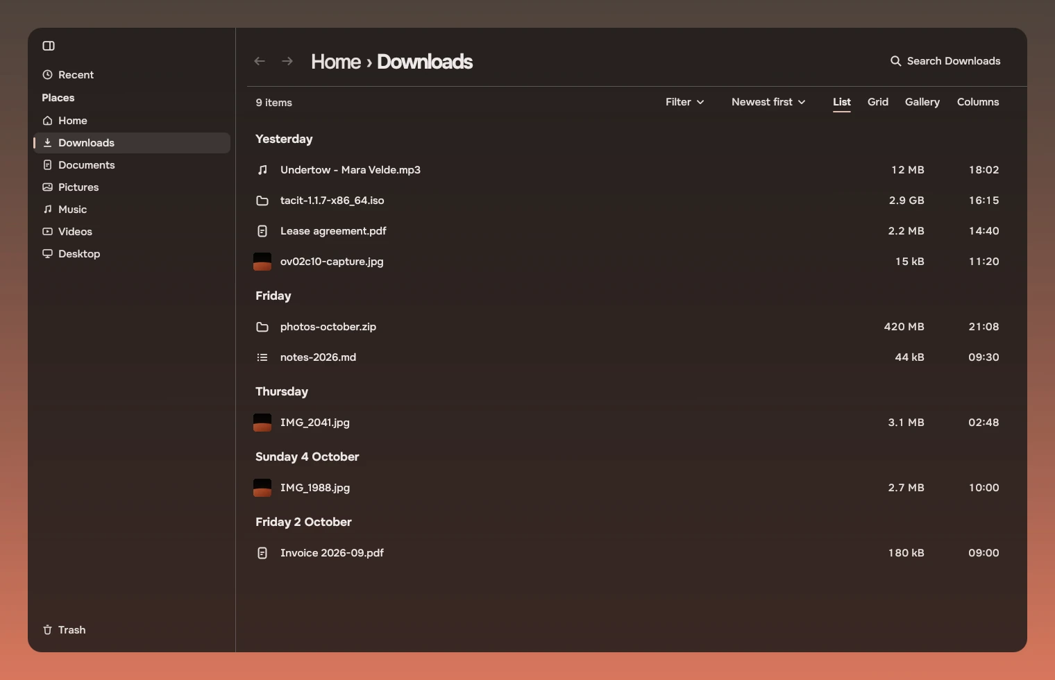 The Downloads folder in the List view. Under the header, a bar with 9 items on the left and Filter, Newest first, List, Grid, Gallery and Columns on the right, List underlined. Below it the list, under the headings Yesterday, Friday and Thursday.