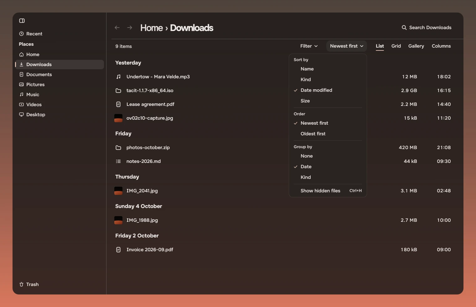 The order menu open under Newest first, with the headings Sort by (Name, Kind, Date modified, Size), Order (Newest first, Oldest first) and Group by (None, Date, Kind), and Show hidden files with Ctrl+H.