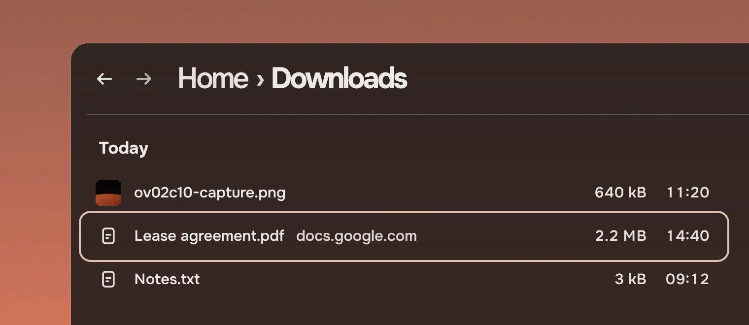 Part of a Downloads window with a list under the heading Today: a picture, a PDF with the keyboard ring around its whole row, and a text file.