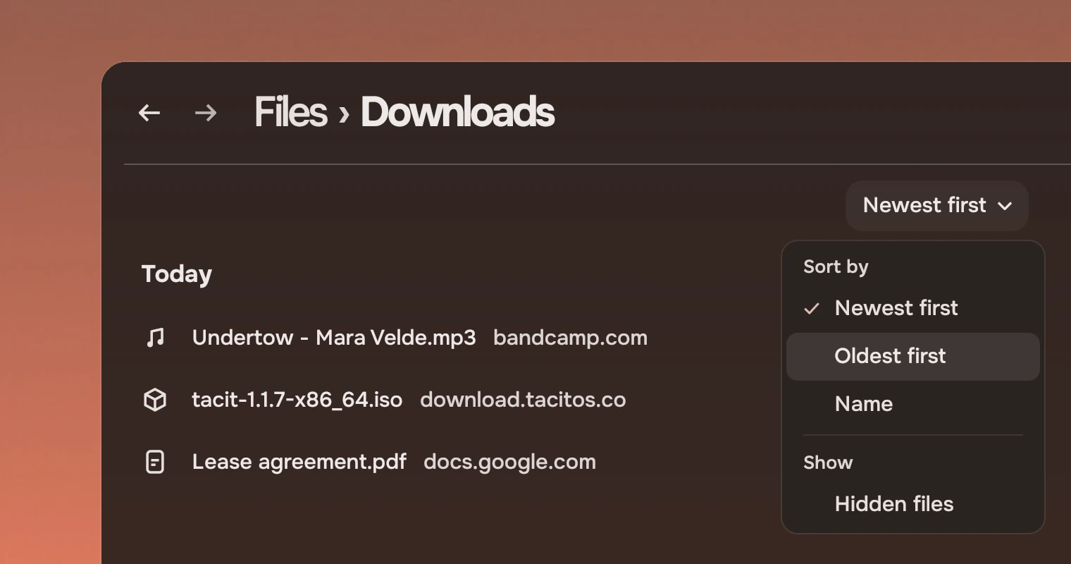 Part of a Files window with the sort button Newest first and, open under it, a menu with the group Sort by (Newest first ticked, Oldest first under the pointer, Name), a rule and the group Show with Hidden files.