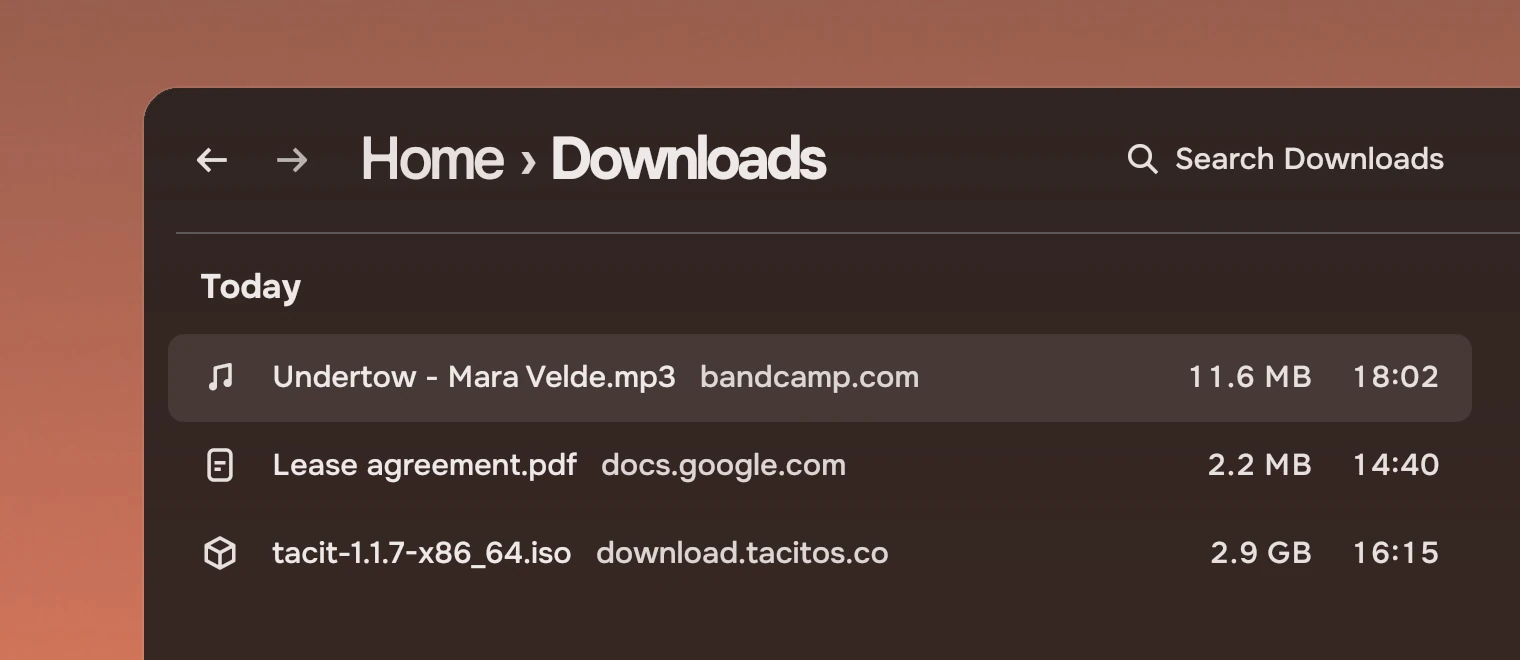 Part of a window with a page header, Home then Downloads in large type with Back and Forward before it and Search Downloads on the right, over a list headed Today.