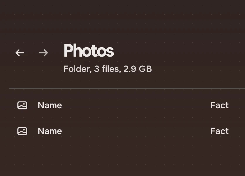 A page header reading Photos with a line under it: Folder, 3 files, 2.9 GB.