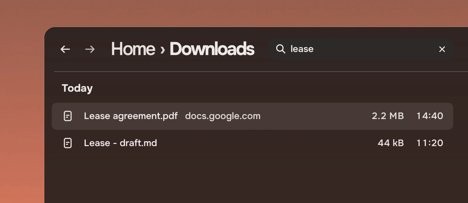 Part of a window whose header holds an open search field with the word lease in it and a clear button, over two files whose names start with Lease.