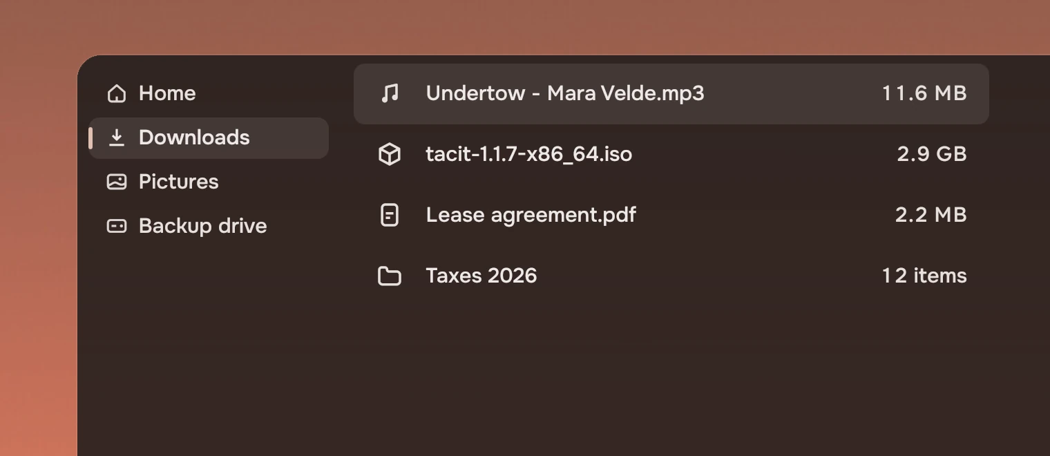 Part of a file manager window: a rail with Home, Downloads, Pictures and Backup drive, each with a small symbol, and a list of files, each with a symbol for its kind.