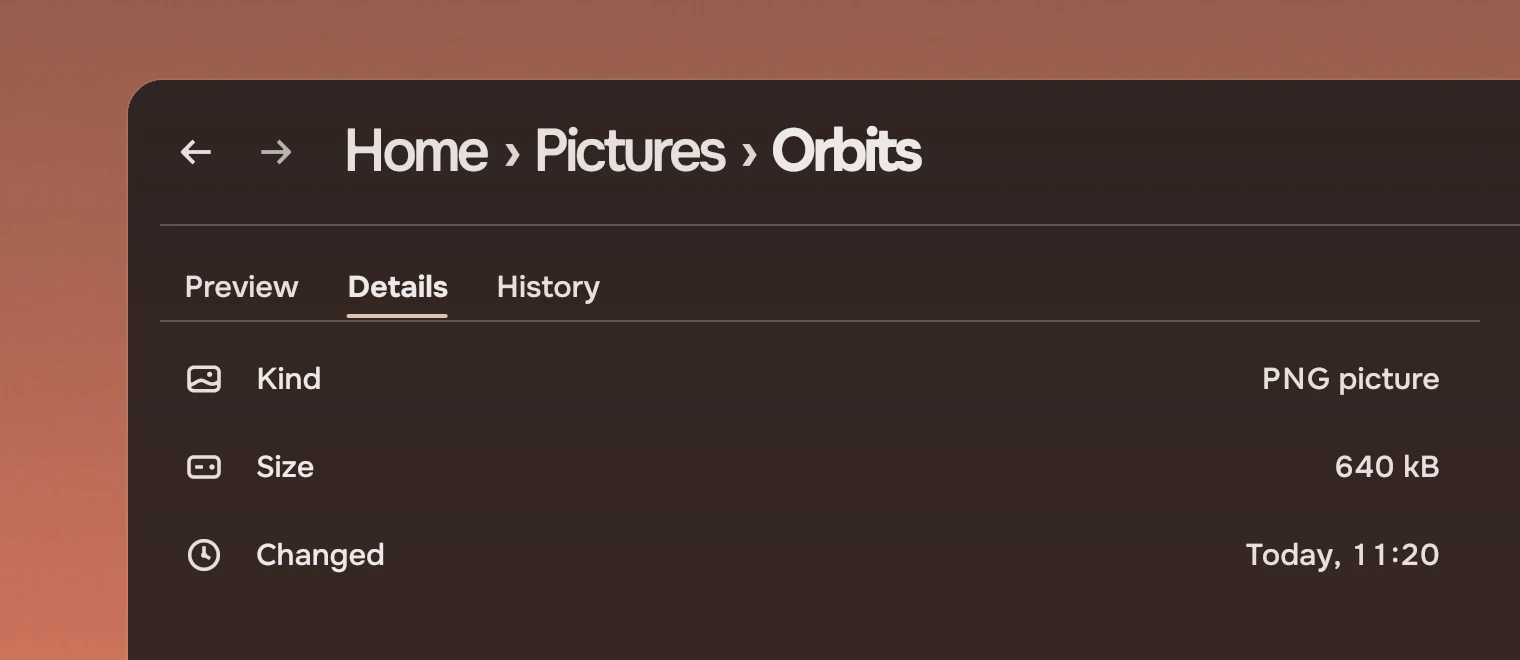 Part of a window headed Home, Pictures, Orbits with three tabs under the header, Preview, Details and History, Details chosen and underlined, and three rows of facts below: kind, size and when it changed.