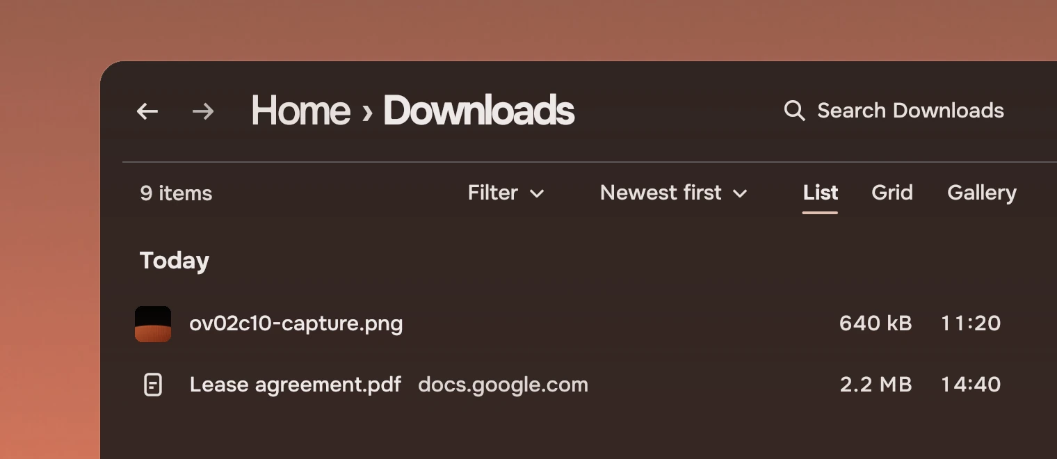 Part of a window with a page header, Home then Downloads with a search field, and under it a view bar: 9 items on the left, Filter, Newest first and the views List, Grid and Gallery on the right, over a list.