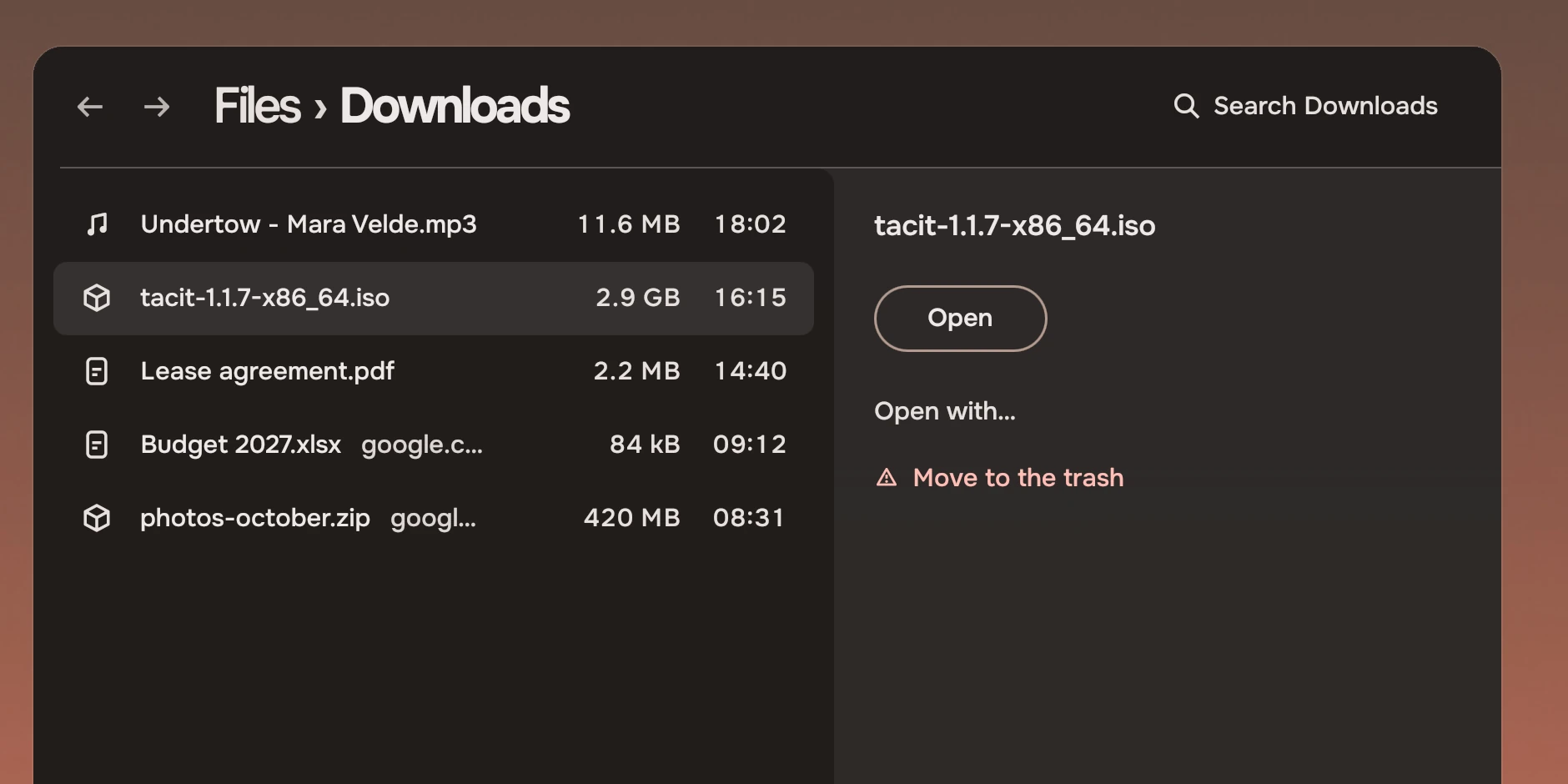 The finished app on the wallpaper: a header reading Files, Downloads with a search field, five files in a list, the second selected, and a panel beside the list showing its name, an Open button, Open with and Move to the trash.